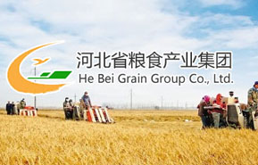 河北省粮食产业集团